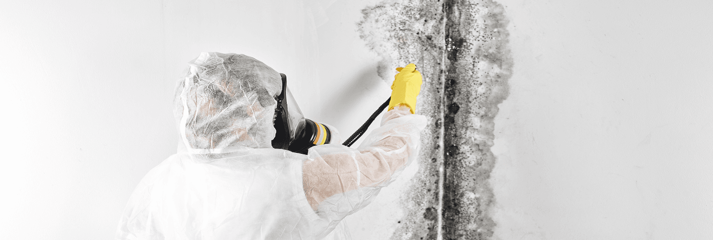 Workers repairing a house